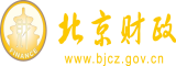 啊啊啊日北京市财政局